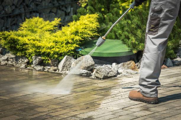 Best Sidewalk and Walkway Cleaning  in Horn Lake, MS